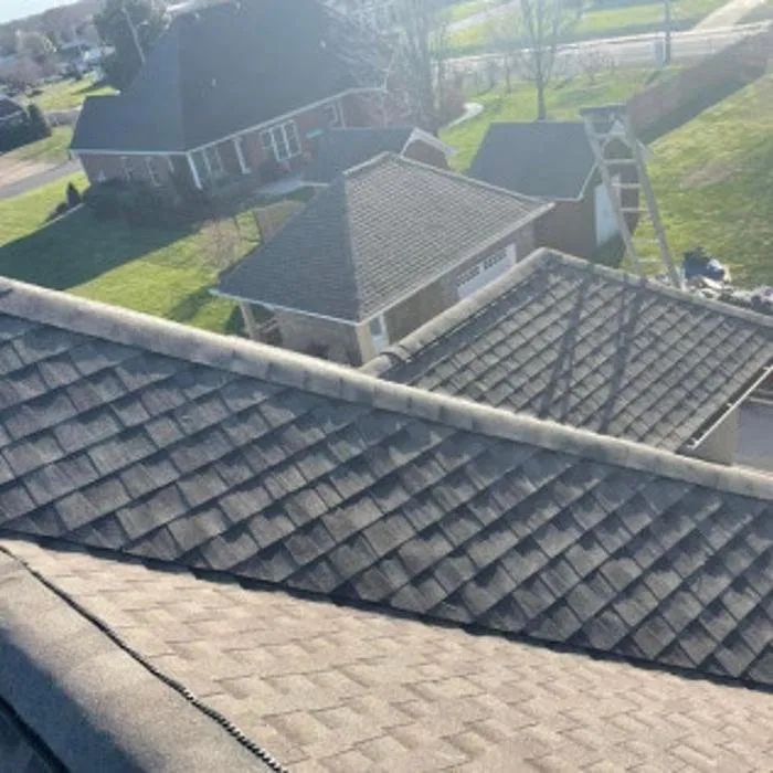 Slide of Mr. GoodRoof