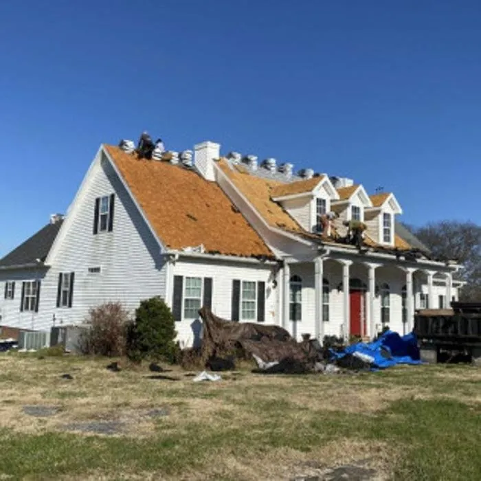 Slide of Mr. GoodRoof