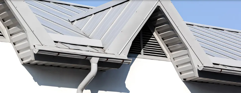 Slide of Mr. GoodRoof