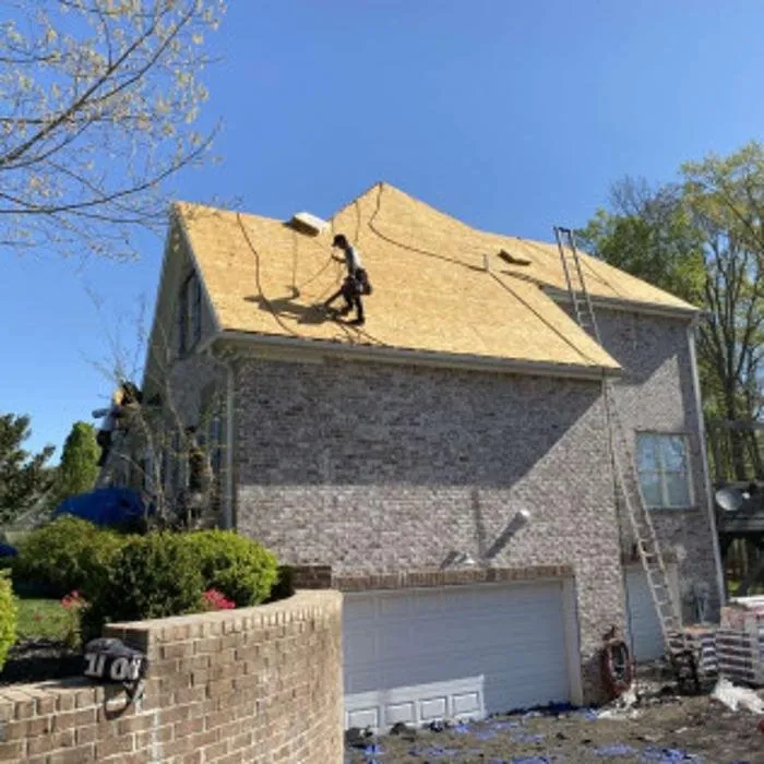 Slide of Mr. GoodRoof