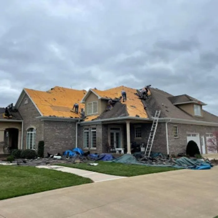 Slide of Mr. GoodRoof