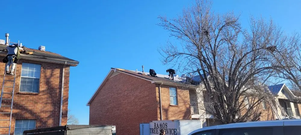 Slide of MR Lopez Painter