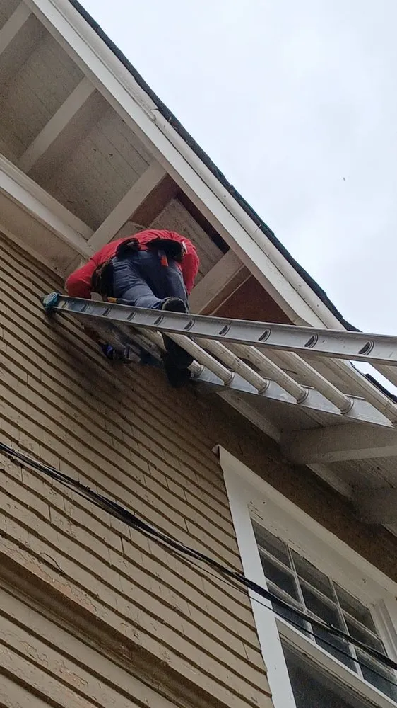 Slide of MR Lopez Painter