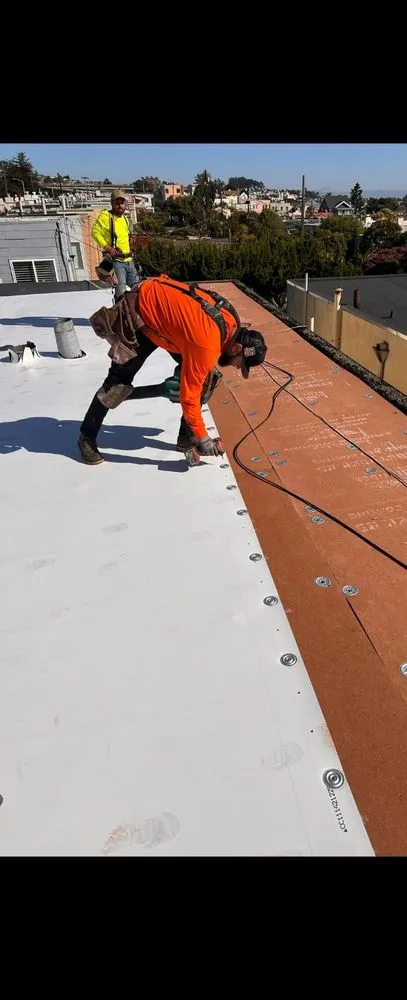 Slide of Mr Orange Roof And Waterproof