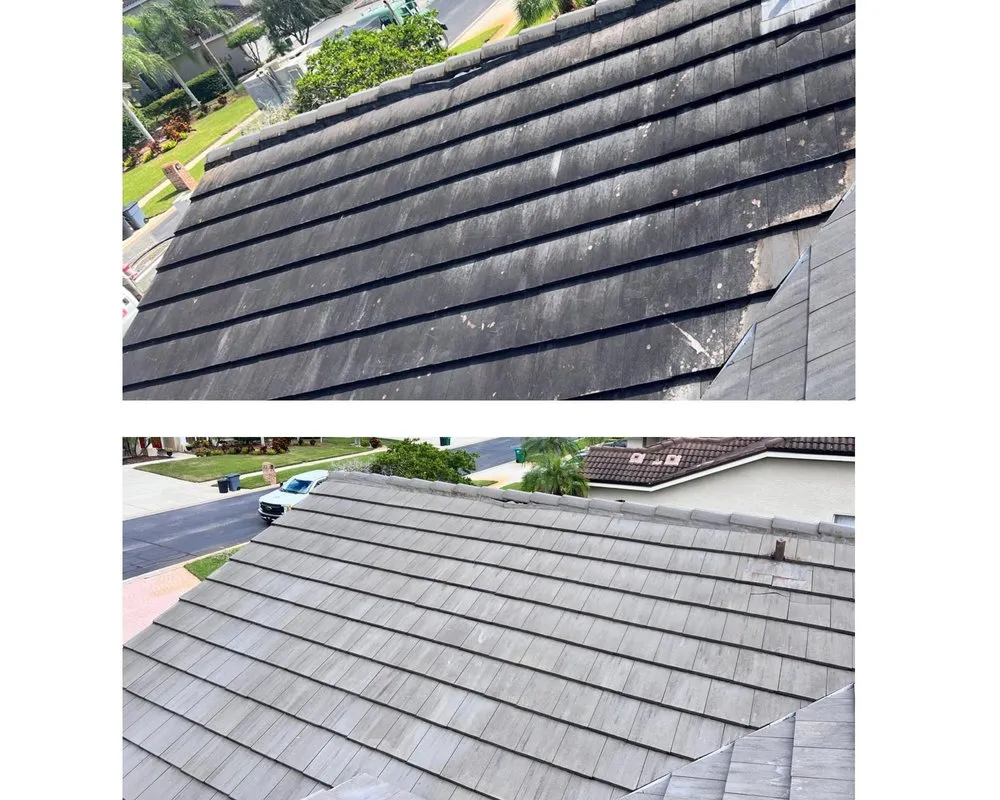 Slide of Mr. Pressure Washing