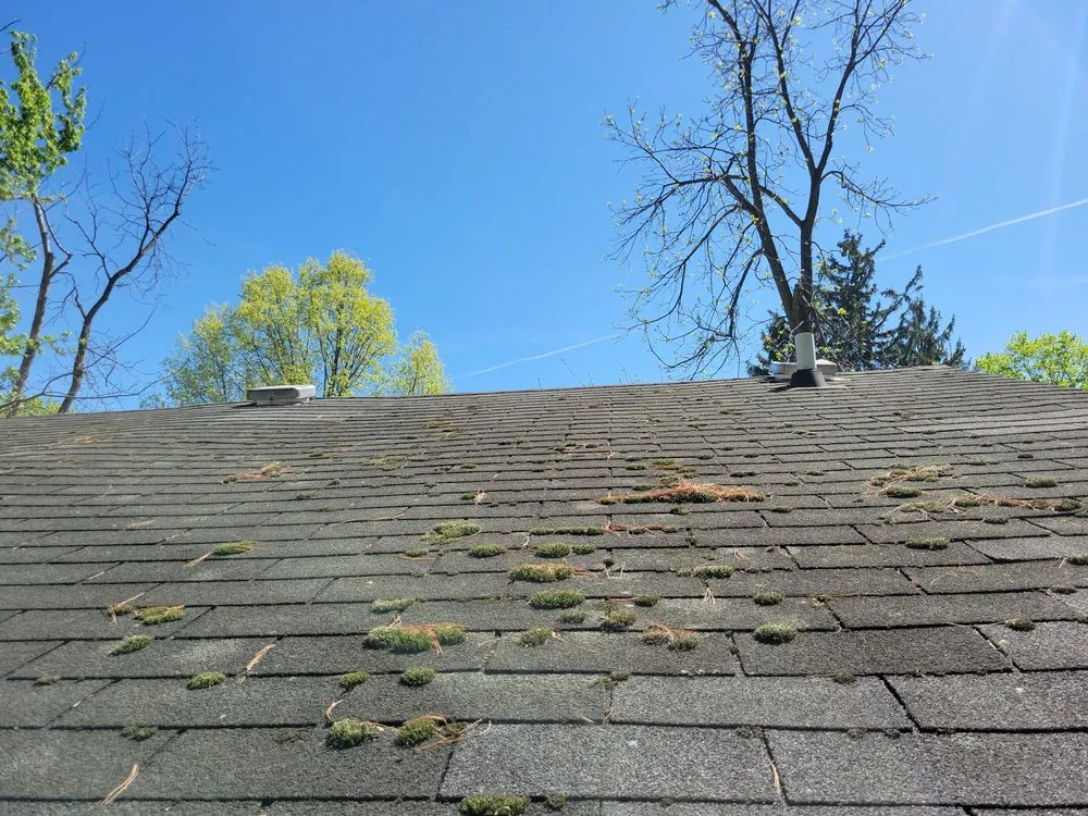 Slide of Mr. Roof Cleveland