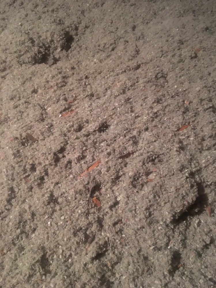 Slide of Mr. Roof Grand Rapids