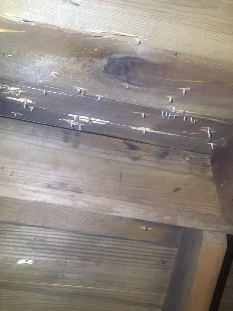 Slide of Mr. Roof Grand Rapids