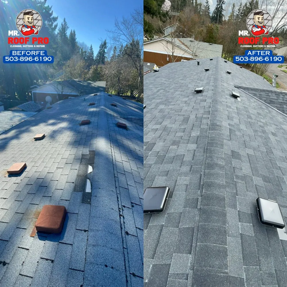 Slide of Mr Roof Pro