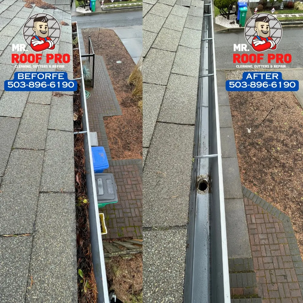 Slide of Mr Roof Pro