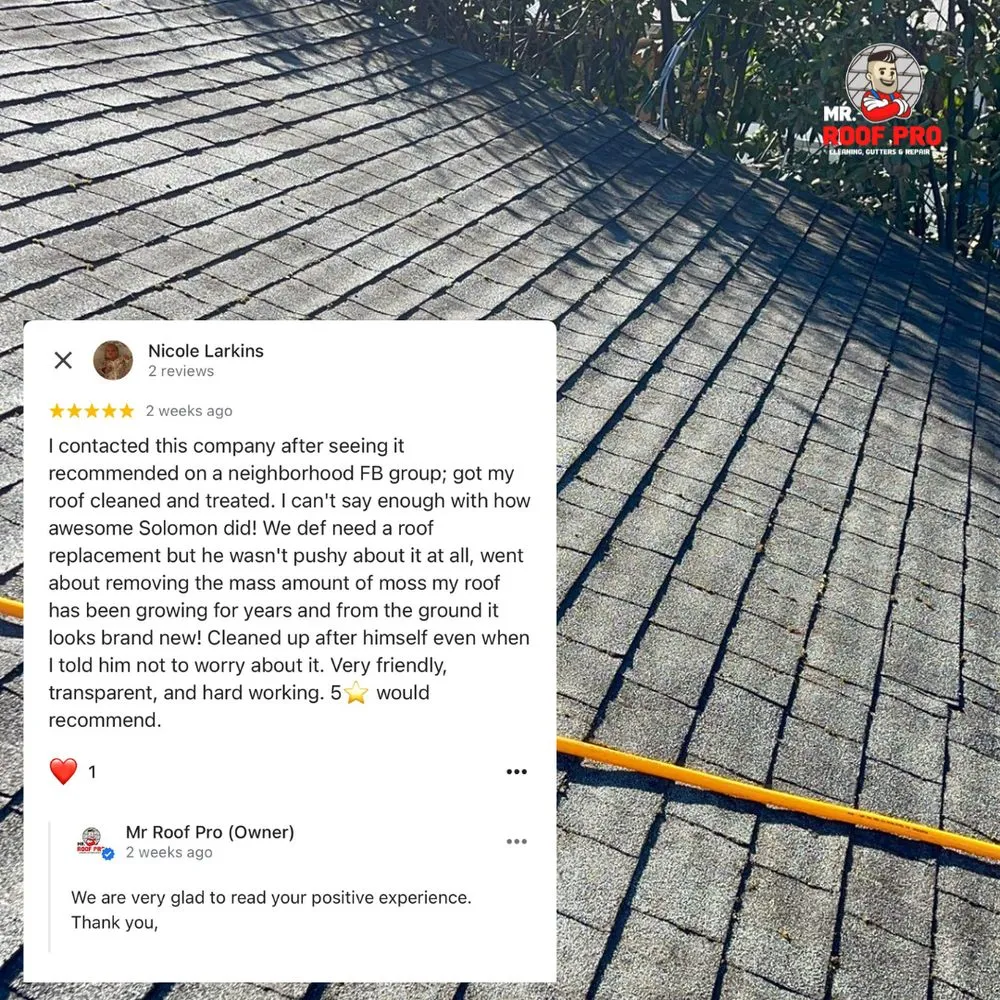 Slide of Mr Roof Pro