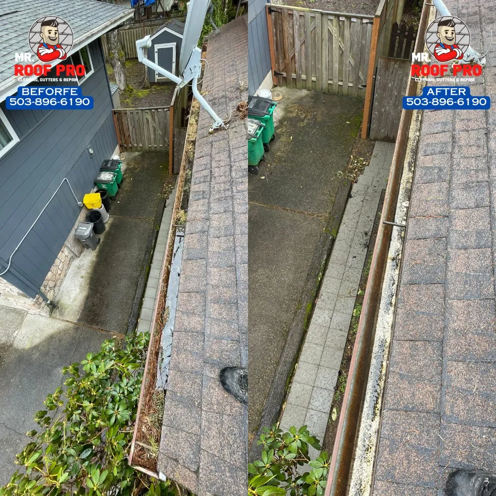 Slide of Mr Roof Pro