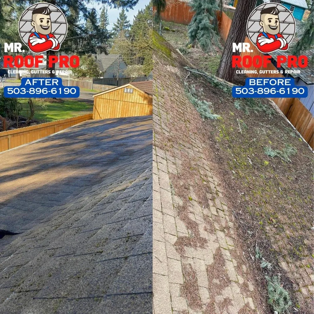 Slide of Mr Roof Pro