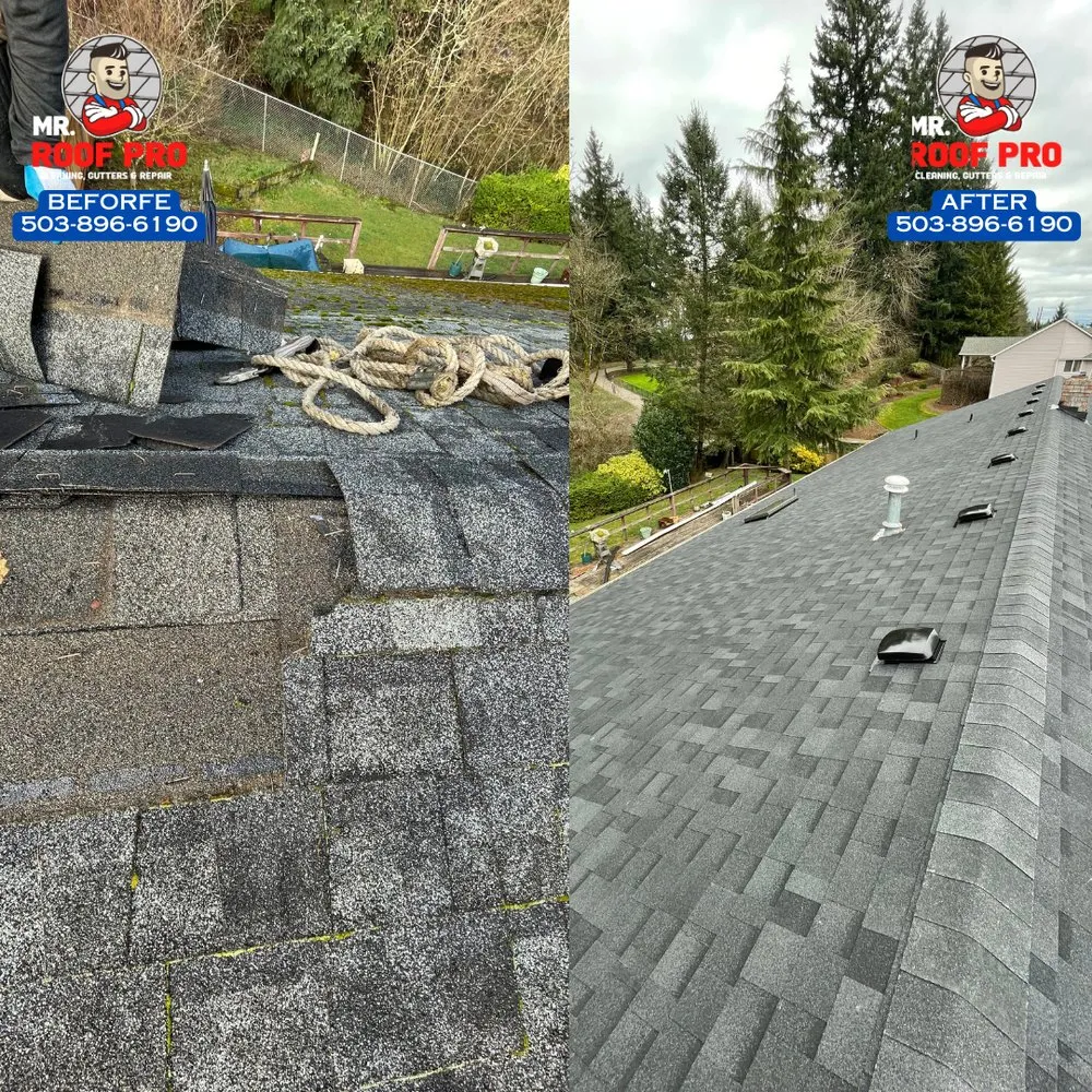 Slide of Mr Roof Pro