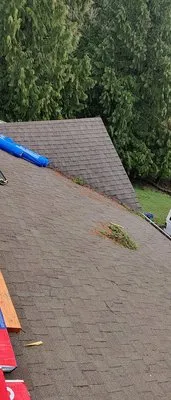 Mr Roofing and Home Services Logo