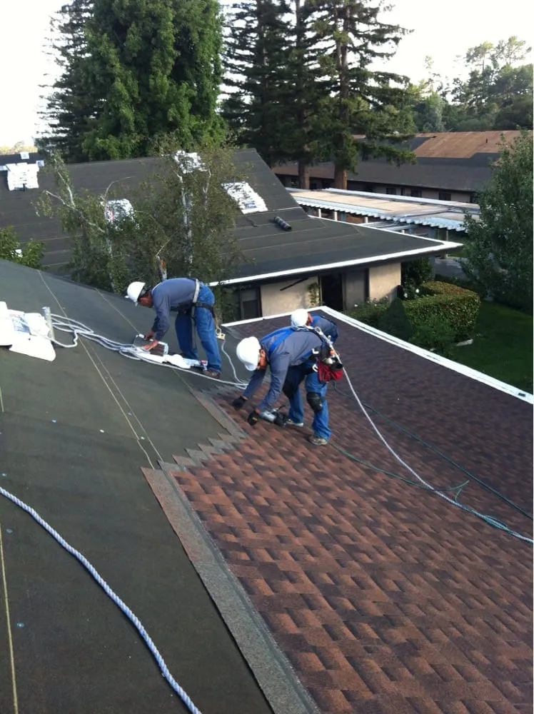 Slide of Mr. Roofing