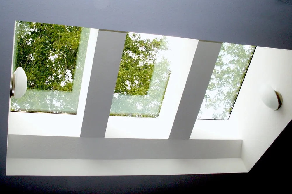 Slide of Mr Skylight