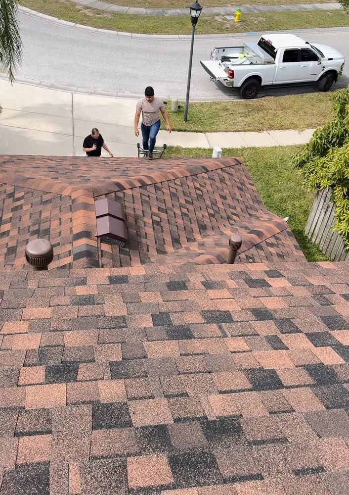 Slide of Mr5 Black Panther roofing