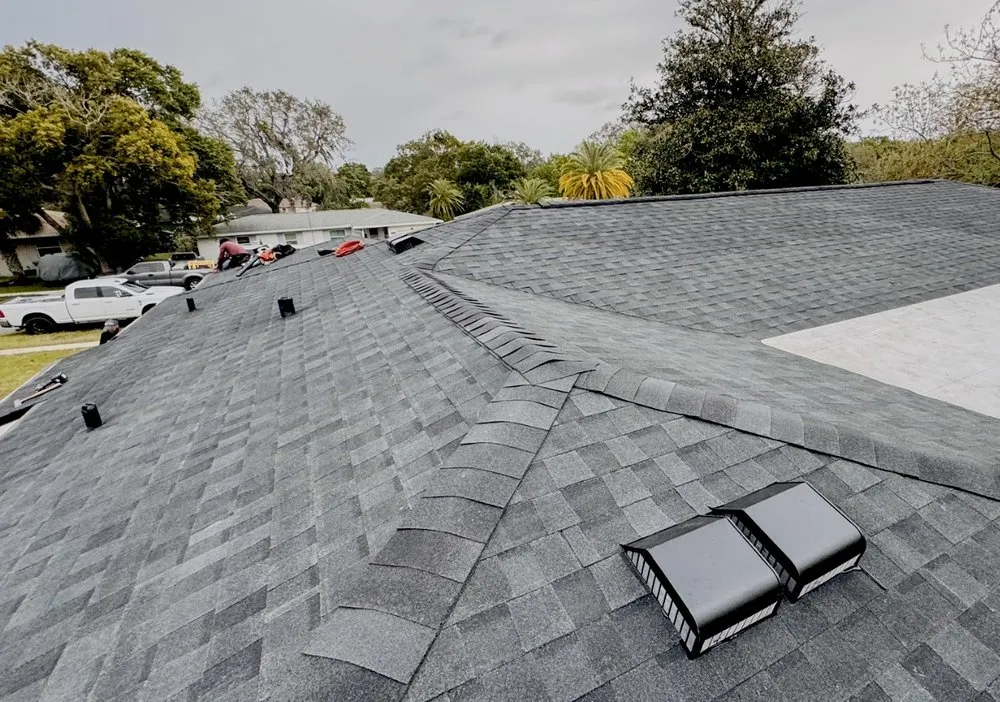 Slide of Mr5 Black Panther roofing