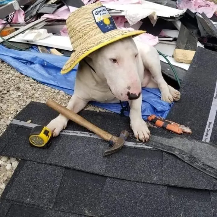 Slide of MRM Restoration Roofing & Seamless gutters