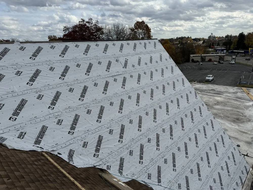 Slide of Mrocek & Co