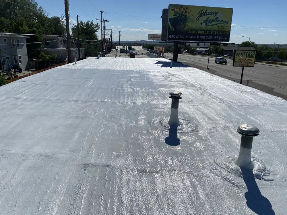 Slide of M.S Foam Roofing