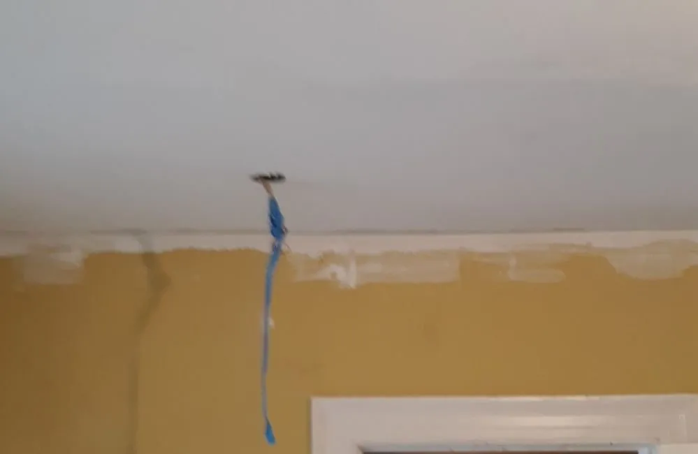 Slide of M&S Guttermen