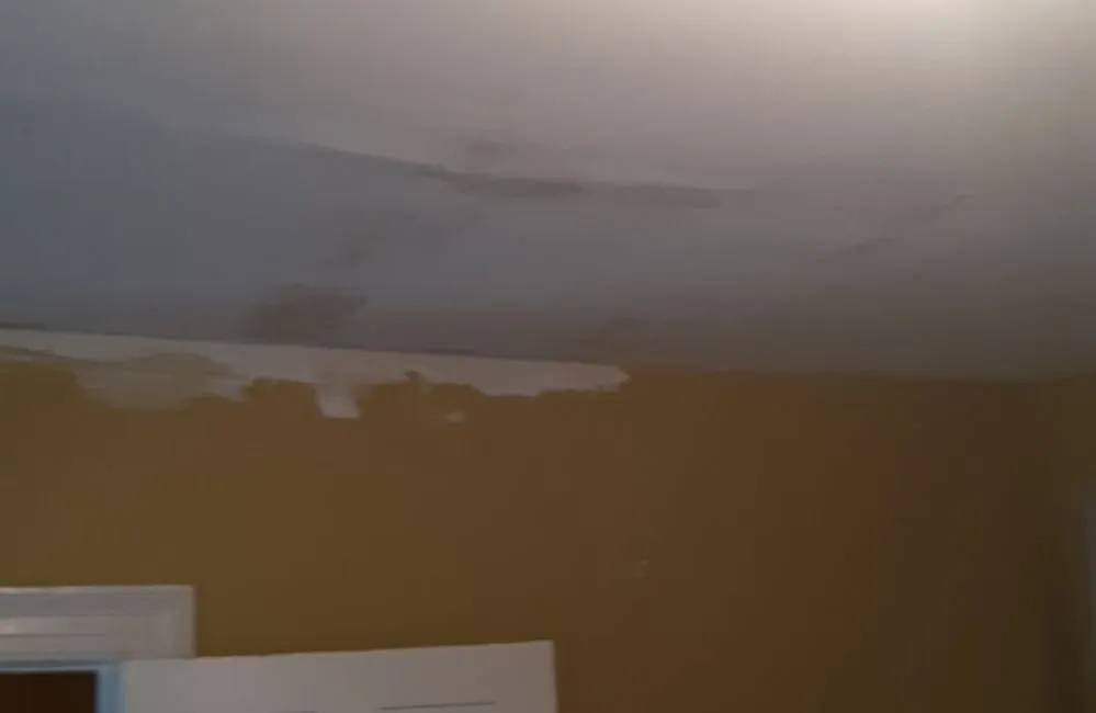 Slide of M&S Guttermen