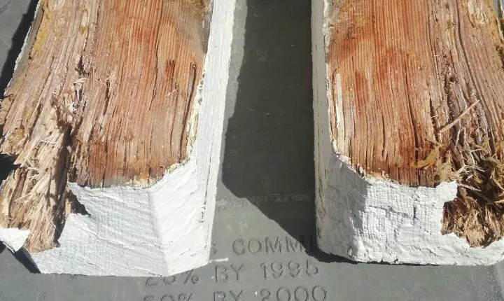 Slide of MST Remodeling