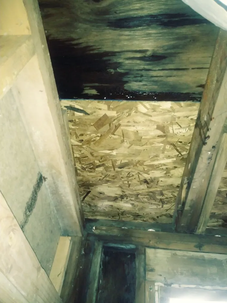 Slide of Mt Baker Roofing