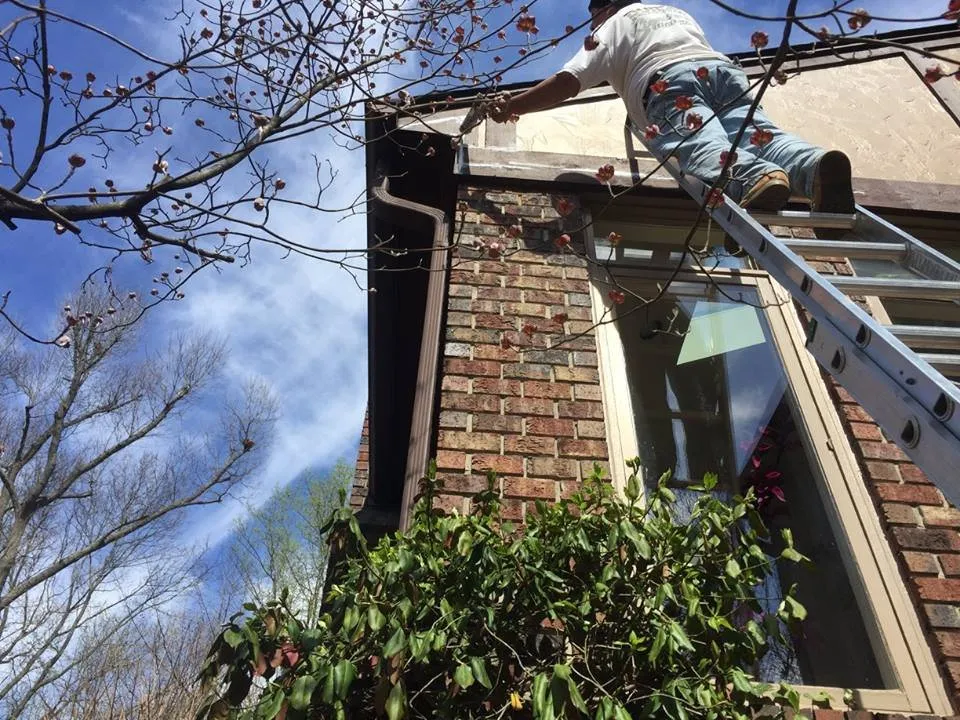 Slide of MT Painting and Restoration