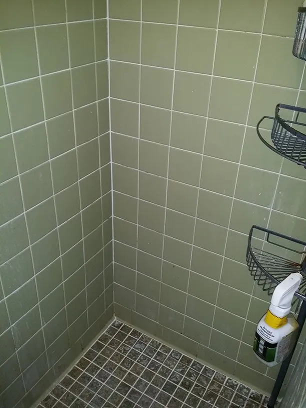 Slide of MTD Services