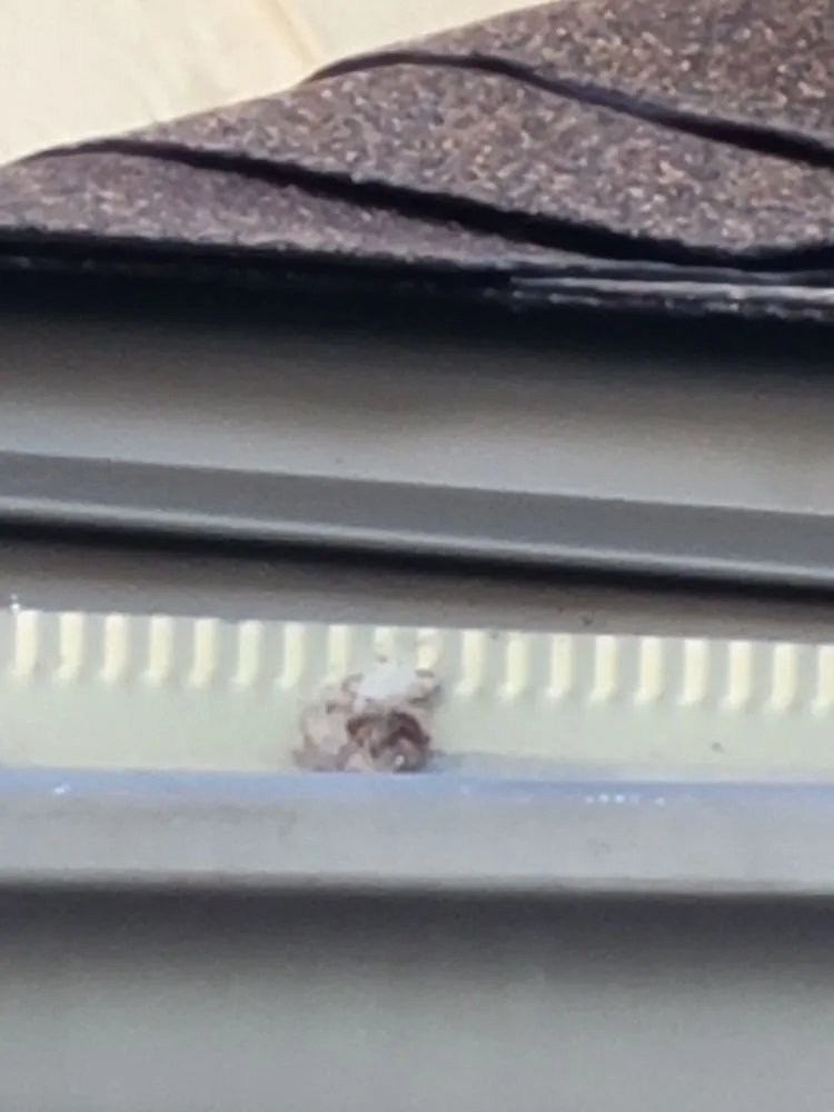 Slide of MTM Roofing