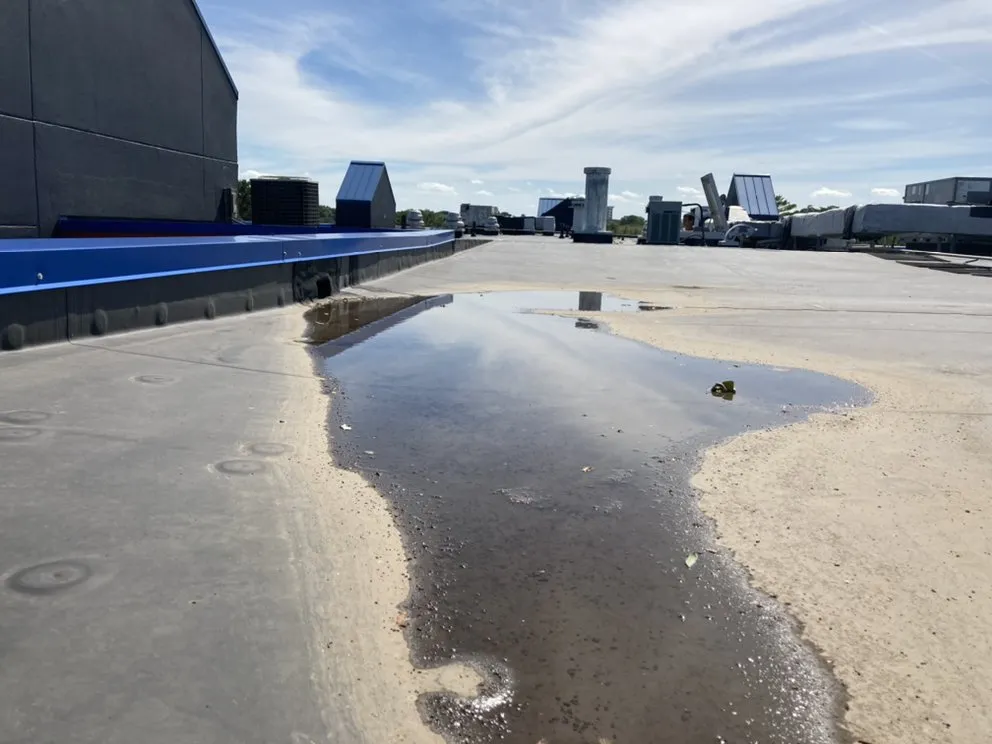 Slide of Mucu's Exteriors