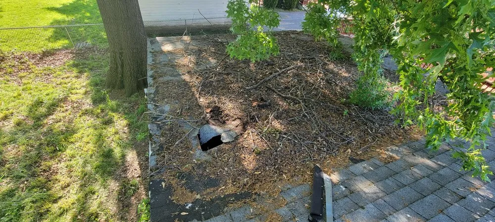 Slide of Muicela's Roofing