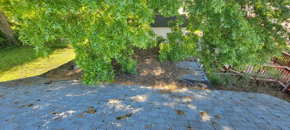 Slide of Muicela's Roofing