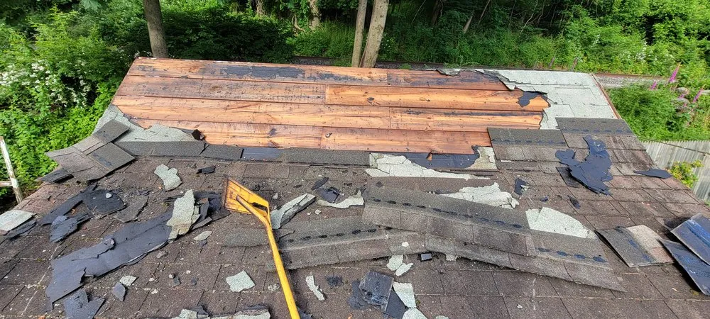 Slide of Muicela's Roofing