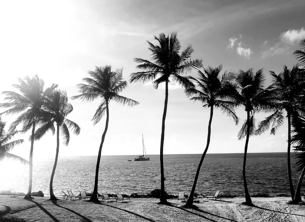 Slide of Murphy's Coastal Roof Solutions