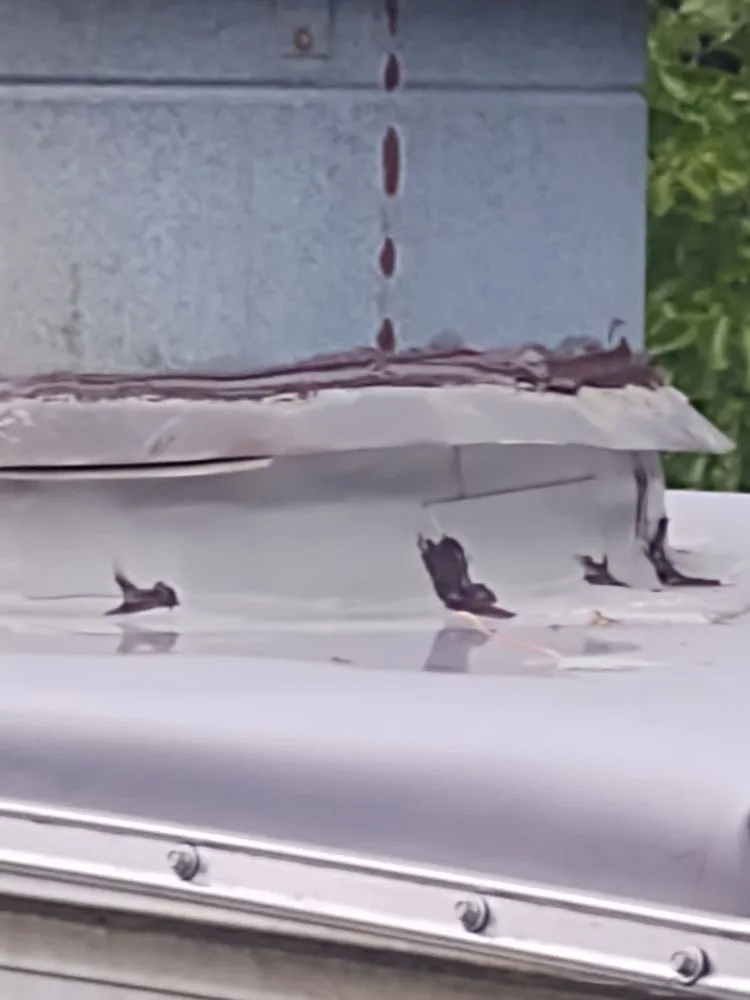 Slide of Murphy's Roofing