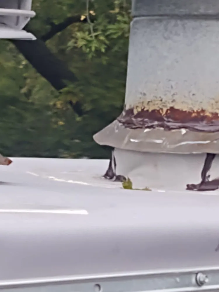 Slide of Murphy's Roofing