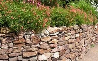 Slide of Mustakas Contracting