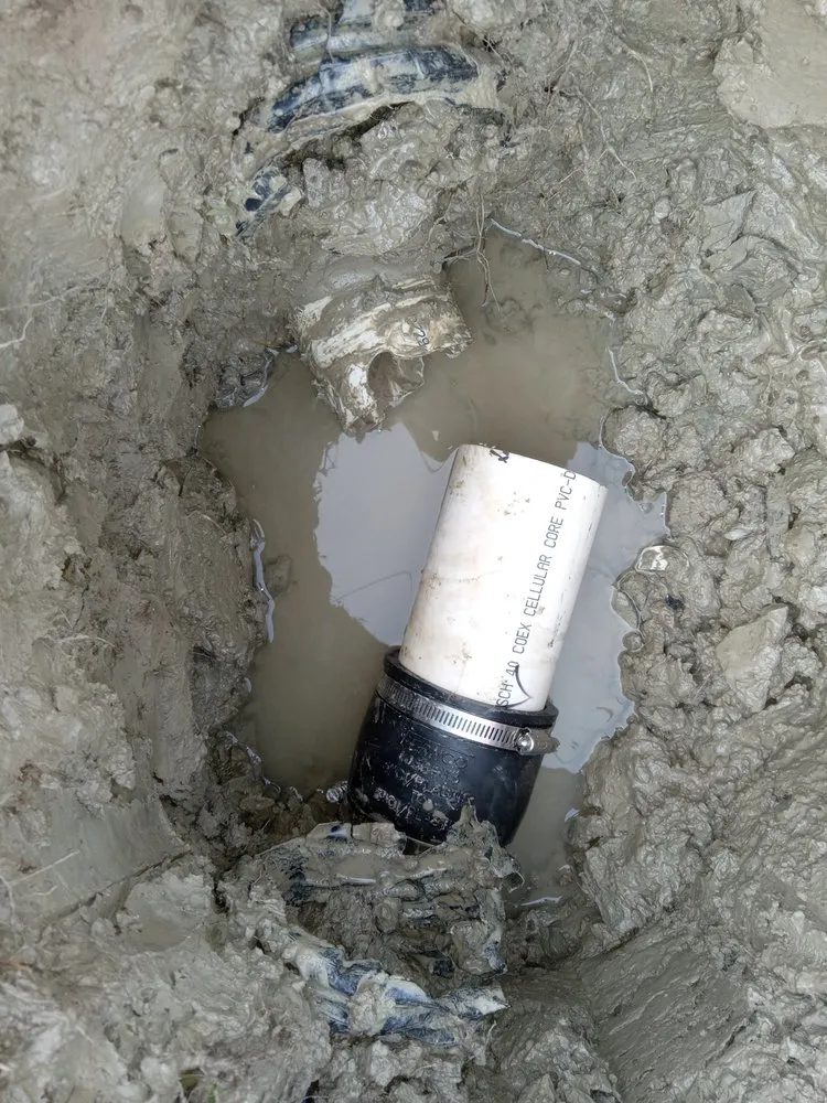 Slide of Mustard Seed Restoration and Construction