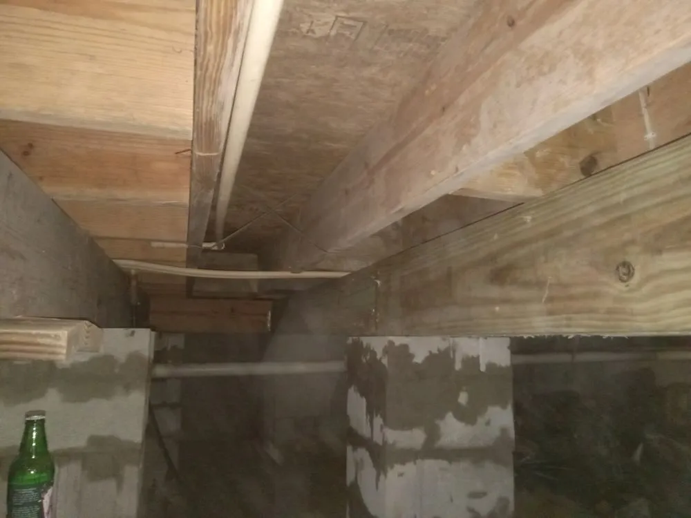 Slide of Mustard Seed Restoration and Construction