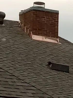 Mustard Seed Restoration and Construction