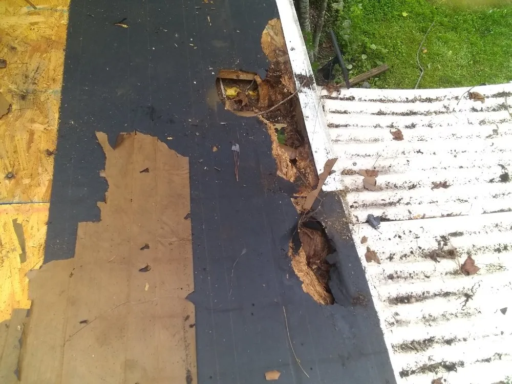 Slide of MV Roofing And Tree Services