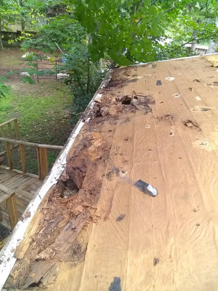 Slide of MV Roofing And Tree Services