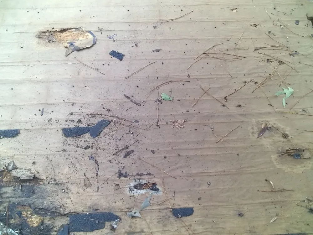 Slide of MV Roofing And Tree Services