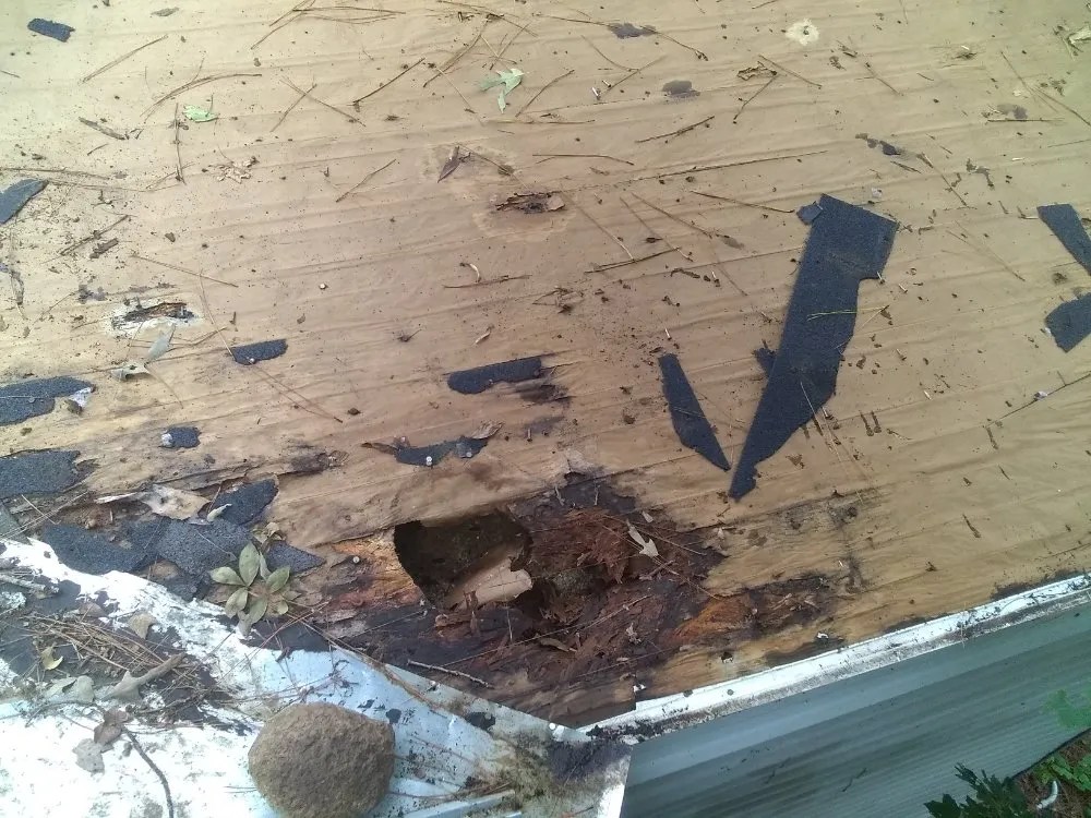 Slide of MV Roofing And Tree Services