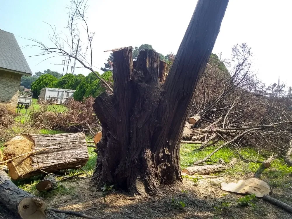 Slide of MV Roofing And Tree Services