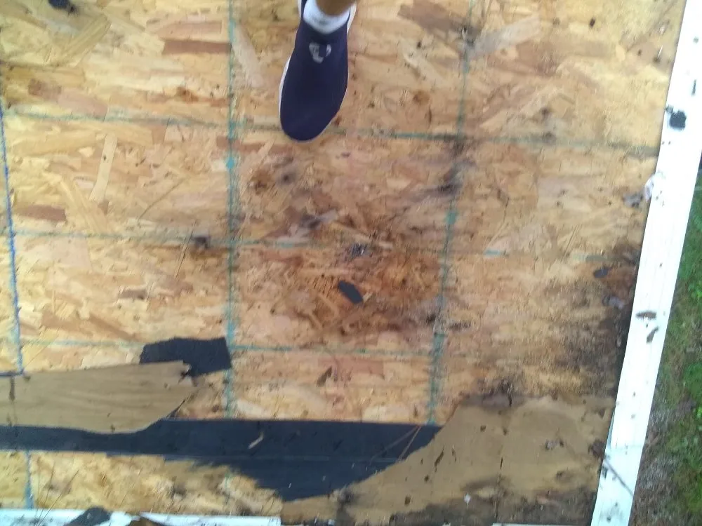 Slide of MV Roofing And Tree Services